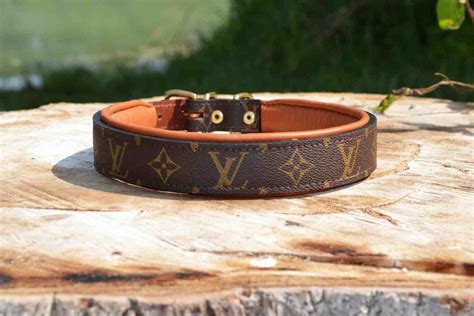 louis vuitton dog collar|louis vuitton dog collar small.